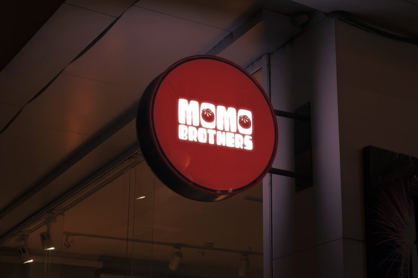 social turtle social turtle